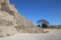 Monte Alban – Oaxaca