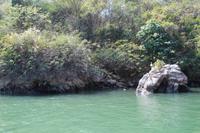 Bootsfahrt durch den Sumidero Canyon