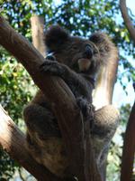 Im Federal Wildlife Park (15)