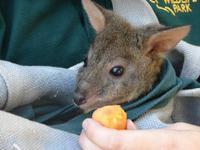 Im Federal Wildlife Park (8)