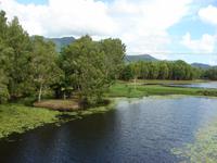 Tjapukai Aboriginal Cultural Park (13)