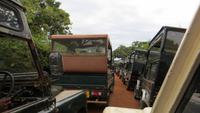 0744 Im Yala-Nationalpark -Stau bei den Elefanten