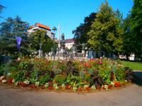 Blumenpracht vor dem Denkmal Luthers