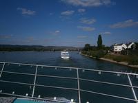 Blick auf den Rhein