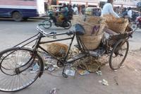 Rad in Indien