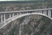Bungeebrücke an der Gartenroute