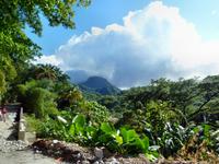 Dominica