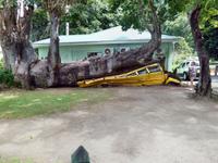 Dominica, unser 