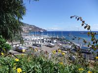 Blick auf den Yachthafen in Funchal