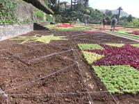 Steckarbeiten im Botanischen Garten