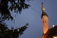 Abends auf dem Weihnachtsmarkt