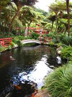 Im Tropischen Garten von Monte