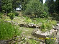 Botanischer Garten