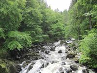 Dunkeld - Hermitage