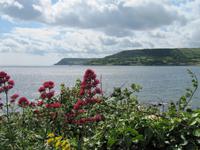 Antrim Coast