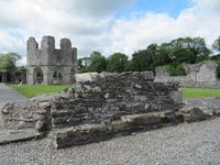 Mellifont Abbey