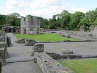 Mellifont Abbey