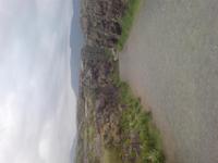 Reykjavik Ausflug, Thingvellir