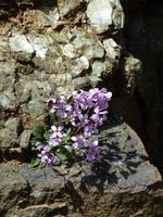 Persephone-Höhenwanderweg