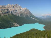 Peyto Lake im Banff Nationalpark