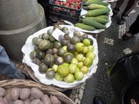 tolle Früchte: Philodendron und Maracujas  