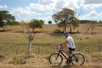 Fahrt zum Picknick im Tal der Zuckermühlen
