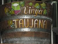 Weingut Vinya Taujana