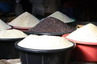 Verschiedene Reis-Sorten