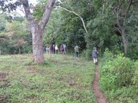 Auf dem Marsch in Arusha-Gebiet