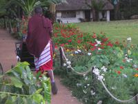 Koffertransport im Farmhouse