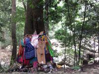 Opfergaben für den Baumgeist