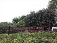 Orchideengarten Kuala Lumpur