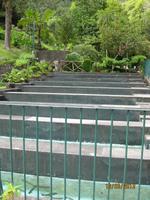 IMG_2915 Zu Besuch an der Forellenzucht (Ribeiro Frio)