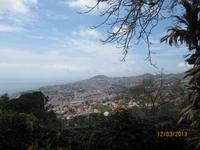 IMG_2985 Zu Besuch im Botanischen Garten von Funchal