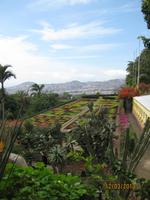 IMG_2992 Zu Besuch im Botanischen Garten von Funchal
