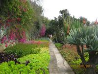 IMG_2994 Zu Besuch im Botanischen Garten von Funchal