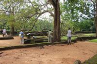 Führung in den unteren Gartenanlagen der Felsenfestung von Sigiriya