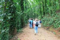 Wanderung im Naturschutzgebiet Udawattakele bei Kandy