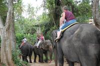 Elefantenritt bei Pinnawela