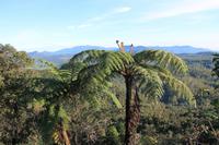 Aussicht auf das Hochland bei Nuwara Eliya