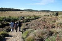 Wanderung im Nationalpark Horton Plains