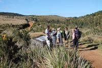 Wanderung im Nationalpark Horton Plains