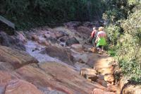 Wanderung im Nationalpark Horton Plains