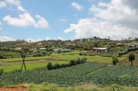 Bauernhöfe auf der Fahrt nach Nuwara Eliya