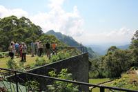 Blick ins Hochland Sri Lankas