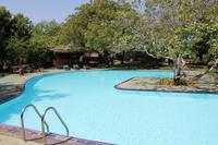 Pool im Resort Elephant Reach