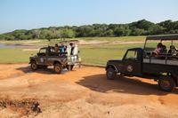 Jeepsafari im Yala-Nationalpark