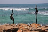 Stelzenfischer im Indischen Ozean auf der Fahrt nach Galle