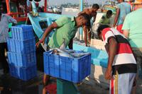 Am Fischerhafen von Beruwela