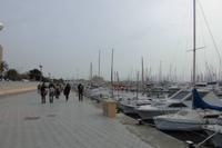 Am Hafen